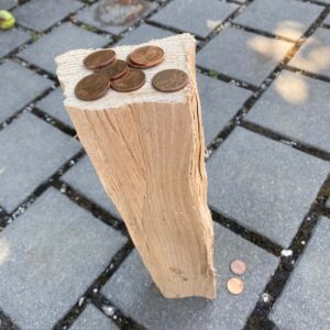 Brackeln wiederentdecken!